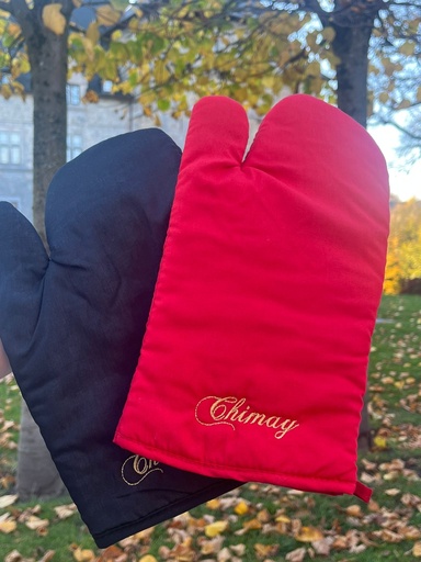 Manique Château de Chimay